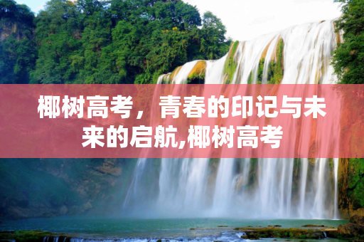 椰树高考，青春的印记与未来的启航,椰树高考