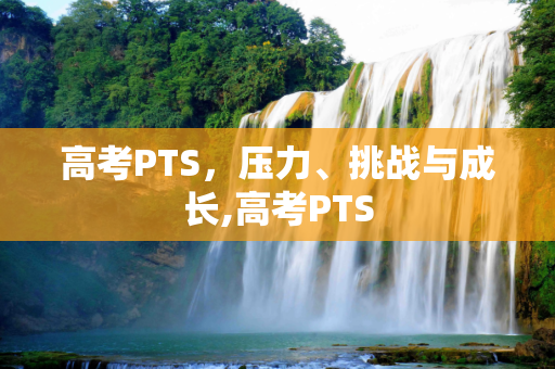 高考PTS，压力、挑战与成长,高考PTS