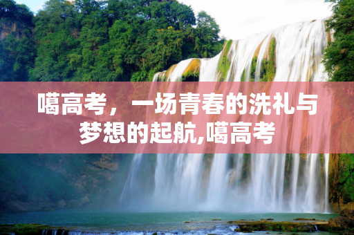 噶高考，一场青春的洗礼与梦想的起航,噶高考