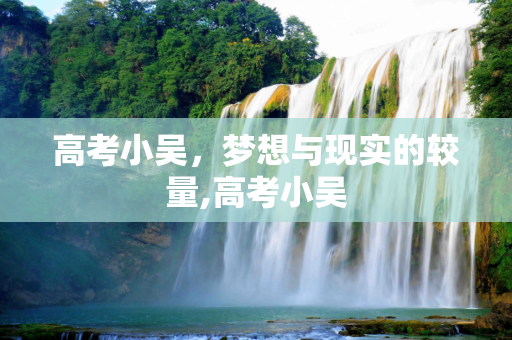 高考小吴，梦想与现实的较量,高考小吴