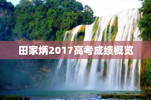 田家炳2017高考成绩概览