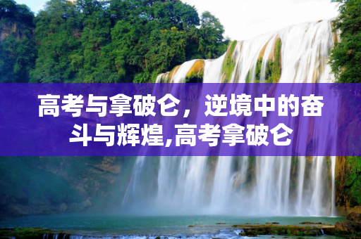 高考与拿破仑，逆境中的奋斗与辉煌,高考拿破仑