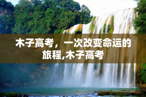 木子高考，一次改变命运的旅程,木子高考