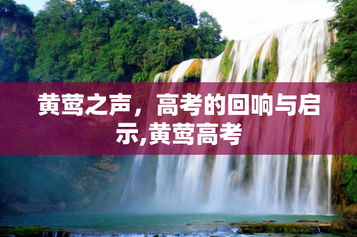 黄莺之声，高考的回响与启示,黄莺高考