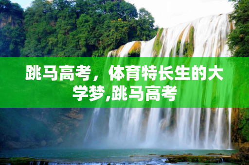 跳马高考，体育特长生的大学梦,跳马高考