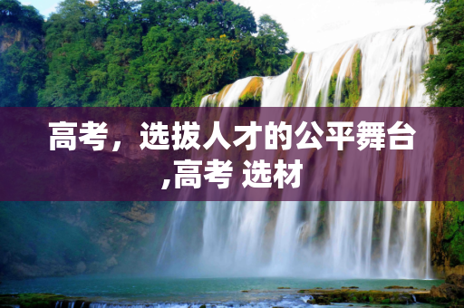 高考，选拔人才的公平舞台,高考 选材