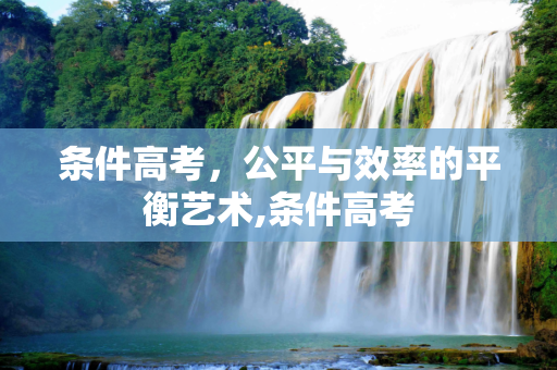 条件高考，公平与效率的平衡艺术,条件高考