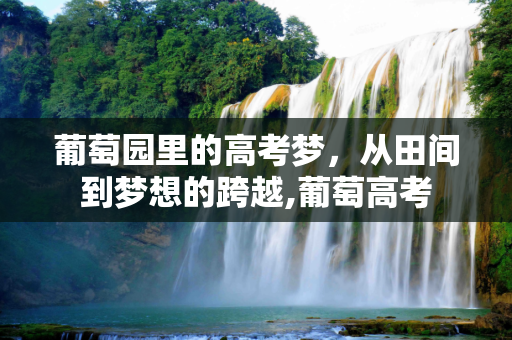 新闻 第138页