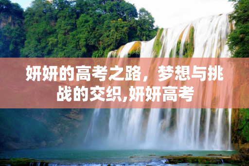 妍妍的高考之路，梦想与挑战的交织,妍妍高考
