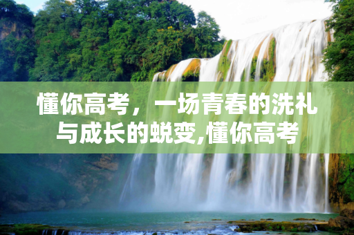 懂你高考，一场青春的洗礼与成长的蜕变,懂你高考