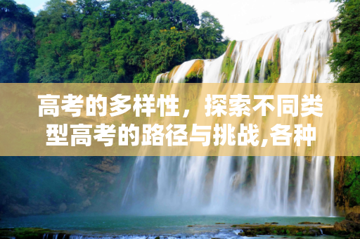 高考的多样性，探索不同类型高考的路径与挑战,各种高考