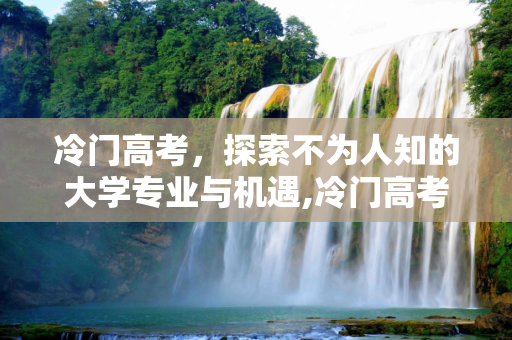 冷门高考，探索不为人知的大学专业与机遇,冷门高考