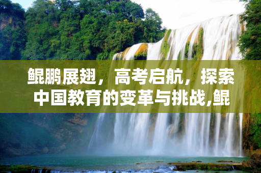 鲲鹏展翅，高考启航，探索中国教育的变革与挑战,鲲鹏高考