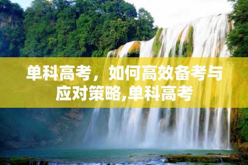 单科高考，如何高效备考与应对策略,单科高考