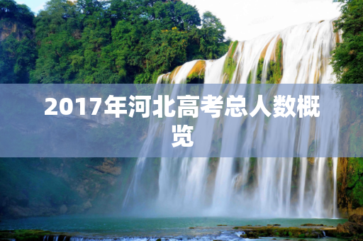 2017年河北高考总人数概览
