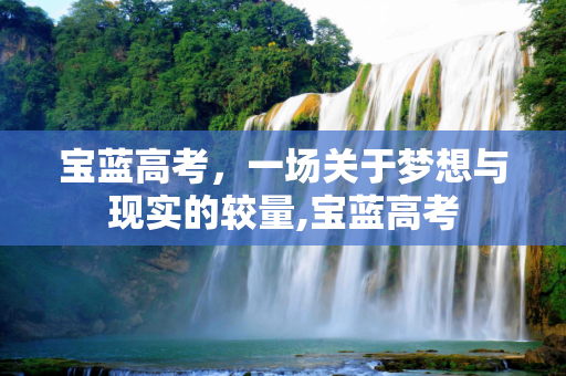 宝蓝高考，一场关于梦想与现实的较量,宝蓝高考