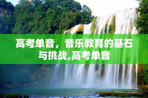 高考单音，音乐教育的基石与挑战,高考单音
