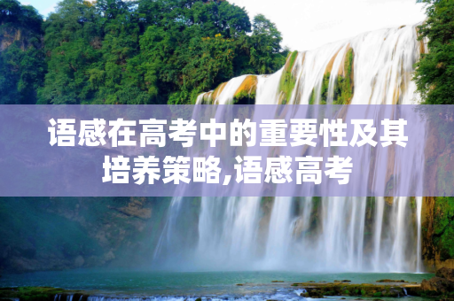 语感在高考中的重要性及其培养策略,语感高考