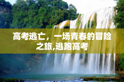 高考逃亡，一场青春的冒险之旅,逃跑高考