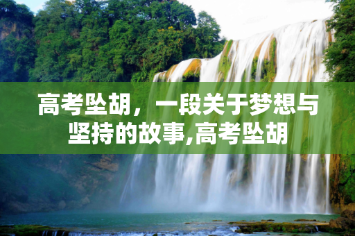 高考坠胡，一段关于梦想与坚持的故事,高考坠胡