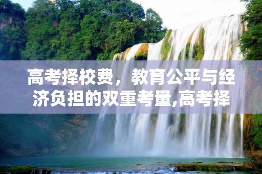 高考择校费，教育公平与经济负担的双重考量,高考择校费
