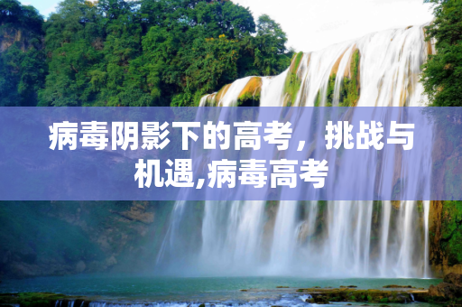 病毒阴影下的高考，挑战与机遇,病毒高考