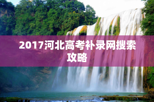 2017河北高考补录网搜索攻略
