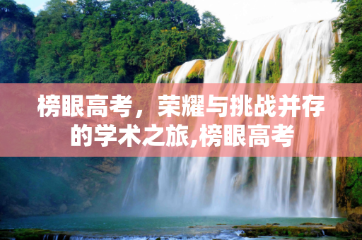 榜眼高考，荣耀与挑战并存的学术之旅,榜眼高考