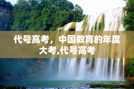 代号高考，中国教育的年度大考,代号高考