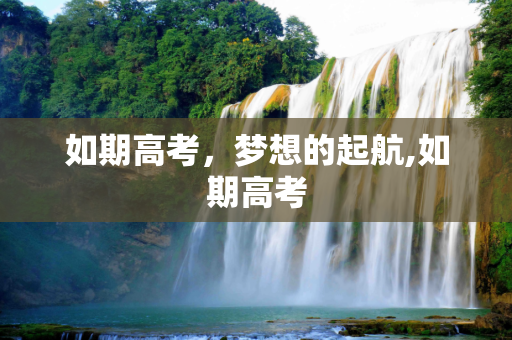 如期高考，梦想的起航,如期高考