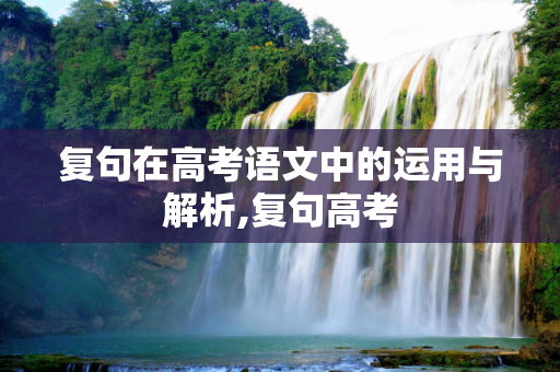 复句在高考语文中的运用与解析,复句高考