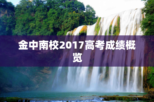 金中南校2017高考成绩概览