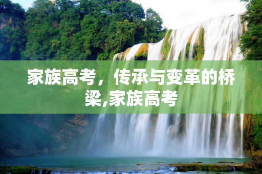 家族高考，传承与变革的桥梁,家族高考