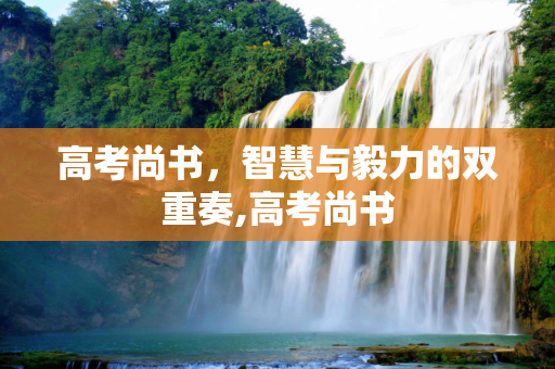 高考尚书，智慧与毅力的双重奏,高考尚书