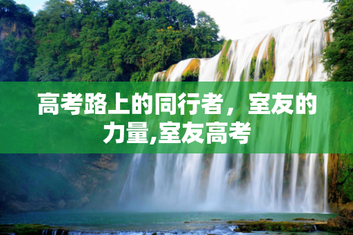 高考路上的同行者，室友的力量,室友高考
