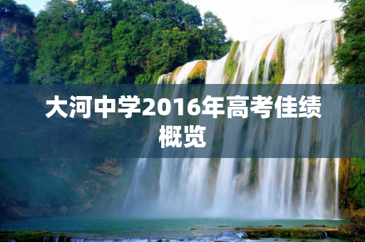 大河中学2016年高考佳绩概览