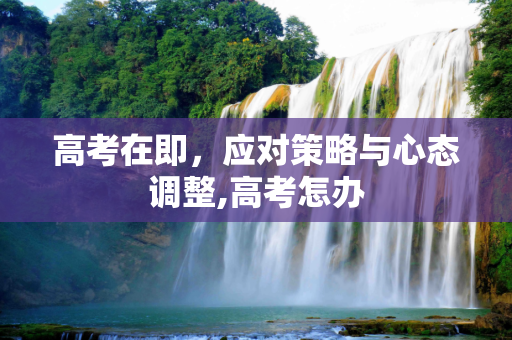 高考在即，应对策略与心态调整,高考怎办