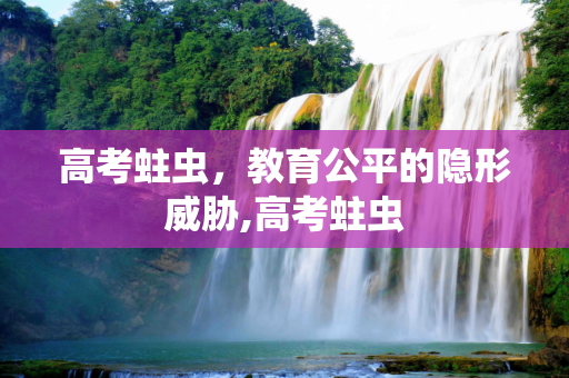高考蛀虫，教育公平的隐形威胁,高考蛀虫