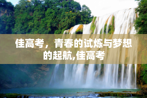 佳高考，青春的试炼与梦想的起航,佳高考