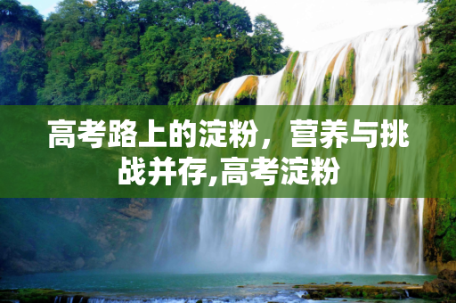 高考路上的淀粉，营养与挑战并存,高考淀粉