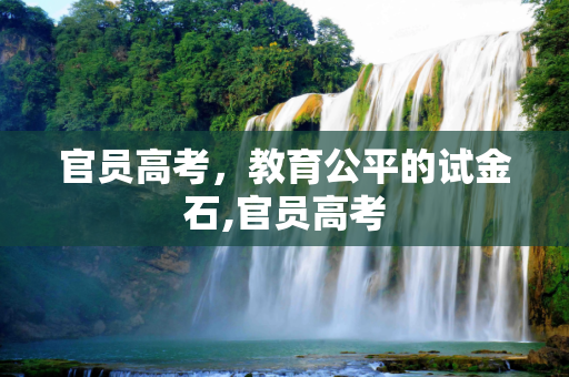 官员高考，教育公平的试金石,官员高考