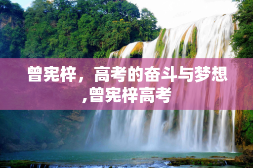 曾宪梓，高考的奋斗与梦想,曾宪梓高考