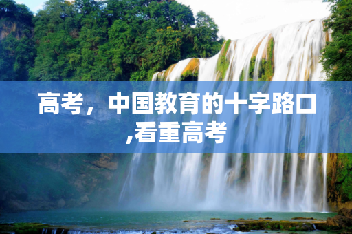 高考，中国教育的十字路口,看重高考