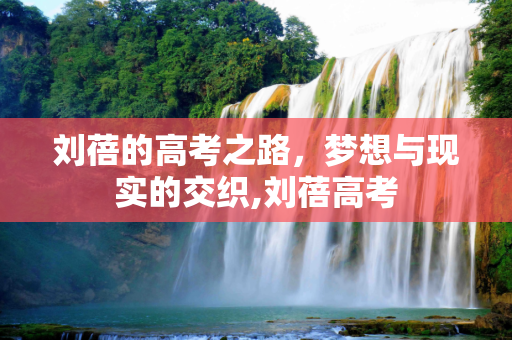 刘蓓的高考之路，梦想与现实的交织,刘蓓高考