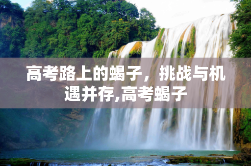 高考路上的蝎子，挑战与机遇并存,高考蝎子