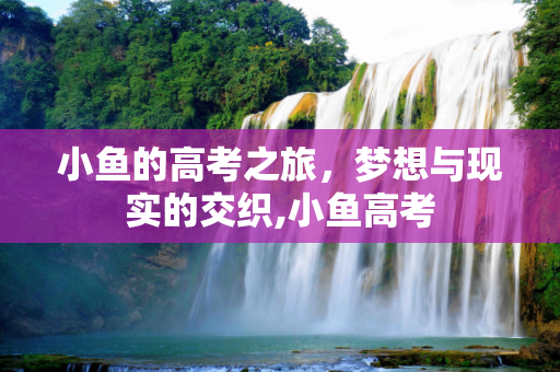 小鱼的高考之旅，梦想与现实的交织,小鱼高考