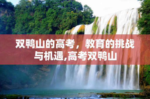 双鸭山的高考，教育的挑战与机遇,高考双鸭山