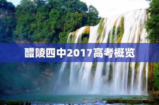 醴陵四中2017高考概览