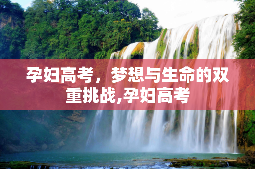 孕妇高考，梦想与生命的双重挑战,孕妇高考
