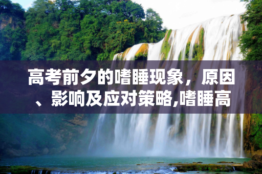 高考前夕的嗜睡现象，原因、影响及应对策略,嗜睡高考